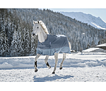 Regular Neck Turnout Rug Aidan, 150g