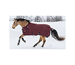 Regular Neck Turnout Rug Perfect Fit, 100g