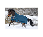 Regular Neck Turnout Rug Perfect Fit, 300g