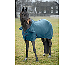 Fleece Rug Activity with Roll-up Neck Piece