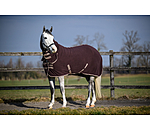 Fleece Rug Activity with Roll-up Neck Piece