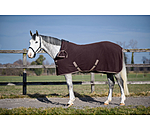 Fleece Rug Activity with Roll-up Neck Piece