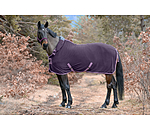 Fleece Rug Activity with Roll-up Neck Piece