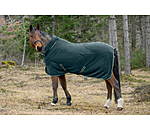 Fleece Rug Activity with Roll-up Neck Piece