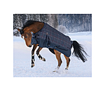 Turnout Rug William, 0g