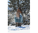 Turnout Rug Atlantic Turnout 50 Regular Neck with Dermo-Care, 50g
