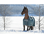 Turnout Rug Atlantic Turnout 50 Regular Neck with Dermo-Care, 50g