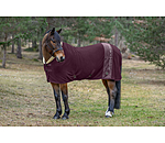 Collection Wicking Rug Astro