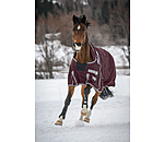 High Neck Turnout Rug Side Closure II