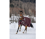 High Neck Turnout Rug Side Closure II