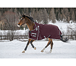 High Neck Turnout Rug Side Closure II