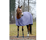 Fleece Rug Economic