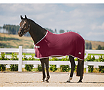 Fleece Rug Economic