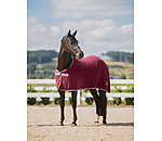 Fleece Rug Economic