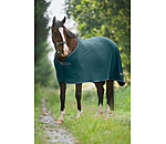 Fleece Rug Economic