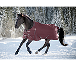 Regular Neck Turnout Rug Perfect Fit Nylon PRO, 200g