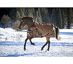 High Neck Turnout Rug Perfect Fit Nylon PRO, 50g