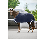 Stable and Travel Rug Safe Journey