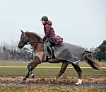 Softshell Exercise Rug Alecto incl. Detachable Neck Piece