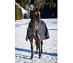 Regular Neck Turnout Rug Liberty II with Liner System, 0g