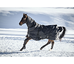 Regular Neck Turnout Rug Liberty II with Liner System, 0g