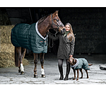 Stable Rug Stay Cozy