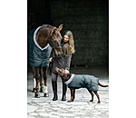 Stable Rug Stay Cozy