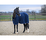 Collection Wicking Rug Glitter