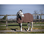 Collection Wicking Rug Glitter