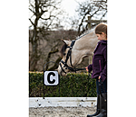 Dressage Markers