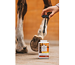 Beechwood Hoof Tar