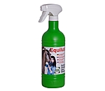 Equilux Fast Cleaner