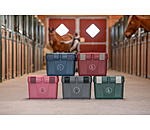 Grooming Box Lissabon