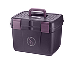 Dark Violet