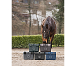 Grooming Box Lissabon