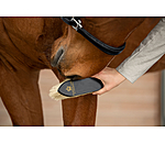 Coat Brush