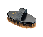 Polishing Body Brush