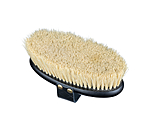 Grooming Brush