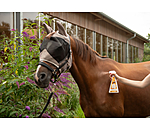 Horse Deodorant Orange Walnut