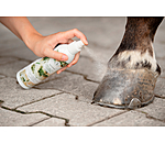 Hoof Spray