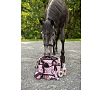 Children's Grooming Bag Champion