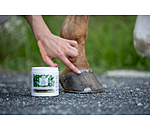 Hoof Care Paste
