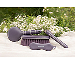 Dandy Brush Brilliant