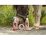 Glitter Hoof Balm Champion