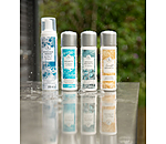 Active Foam Cleaner for Riding Hats & Body Protectors