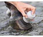 Hoof Brush With Reservoir