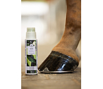 Hoof Oil in Brush Bottle