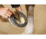 Frog & Hoof Sole Paste