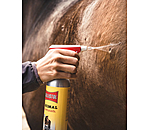 Spray Bottle