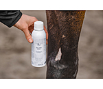 Collagen Spray